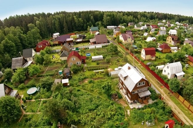 Реализованный проект СНТ "Перовское" - Выращивание прочих однолетних культур. Фото-1