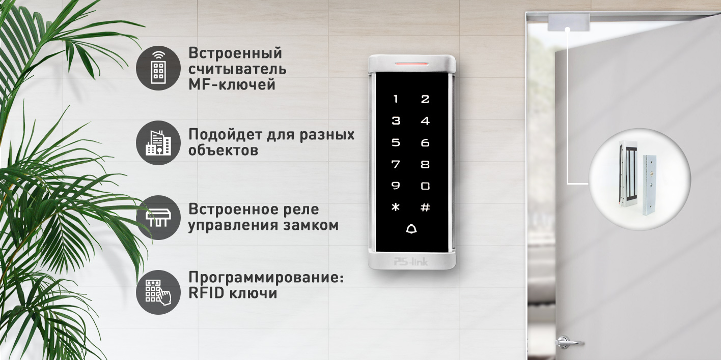 Image-1-t6mf.jpg
