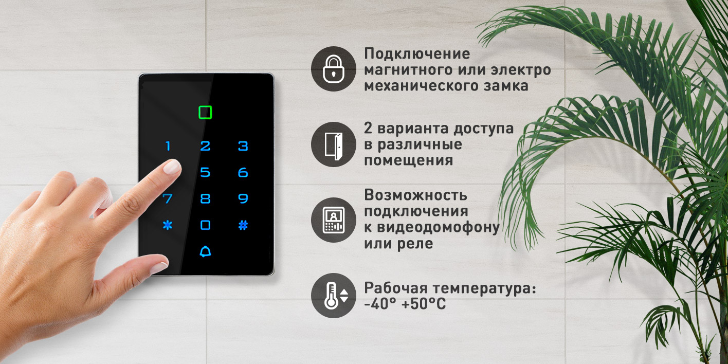 Image-4-T12MF.jpg