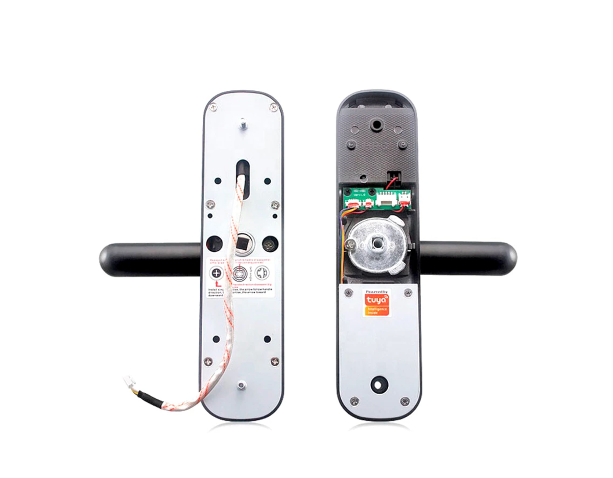 scale_1200 (2).png