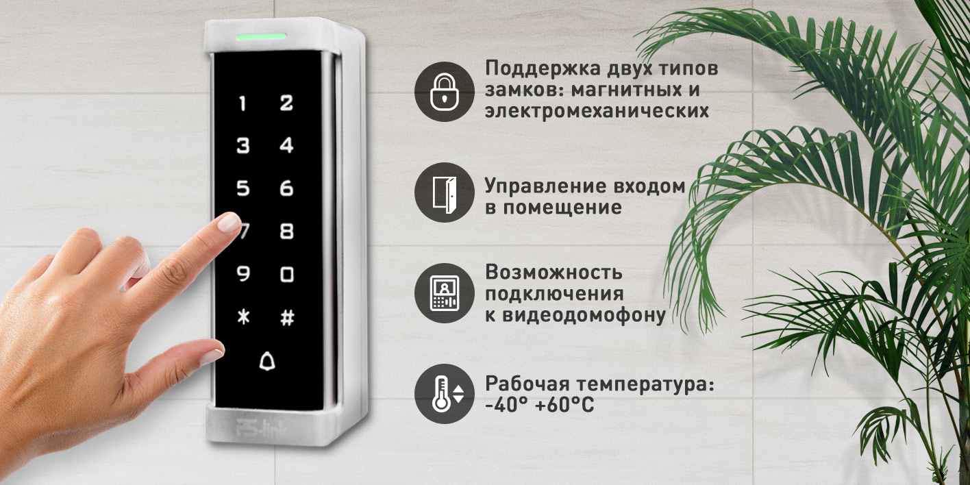 image4-T6MF.jpg