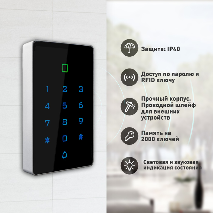 Image-2-T12MF.jpg