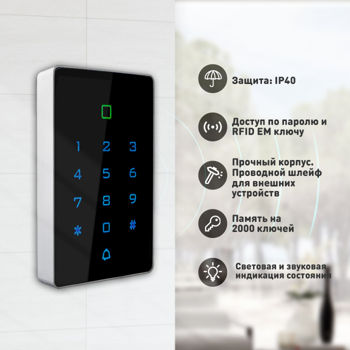Image-2-T12EM.jpg