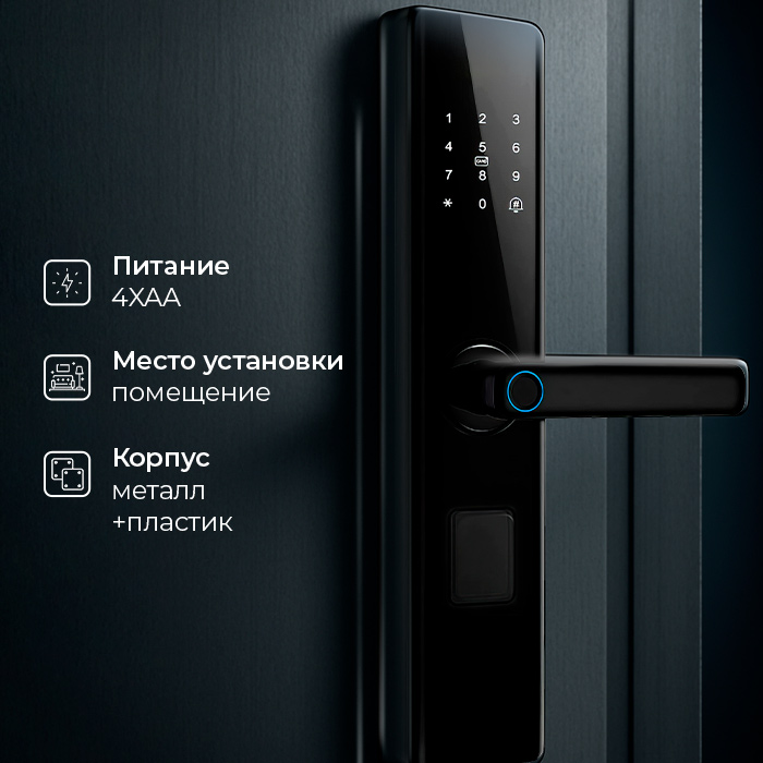 image3-Z13.jpg