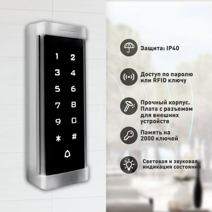 Image-2-T6MF.jpg