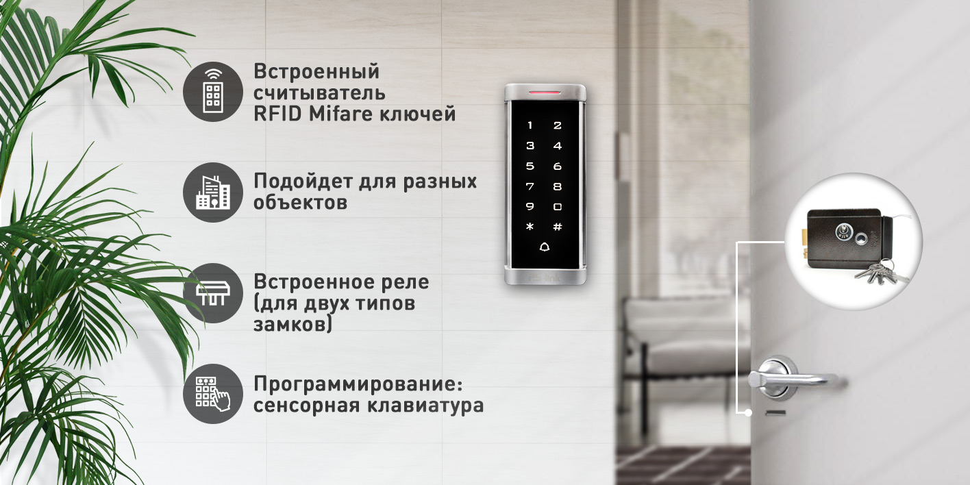 Image-1-T6MF.jpg