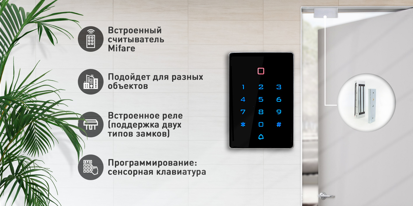 Image-1-T12MF.jpg