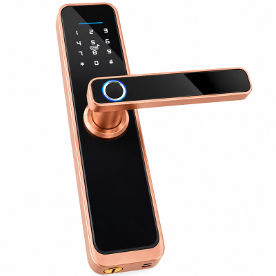 Дверной замок WIFI Ps-Link X2 с ручкой и датчиком отпечатка пальца красная бронза