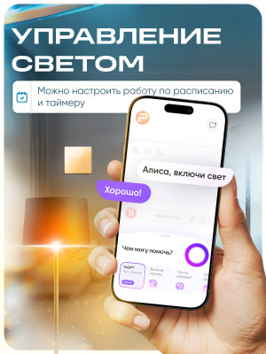 Выключатель света WIFI Ps-Link WF-E2 с Алисой, двухклавишный сенсорный, золотой, совместим с Tuya