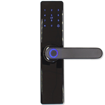 Дверной замок WIFI Ps-Link PS-Z17-TY с отпечатком пальца, Mifare, приложением, WIFI
