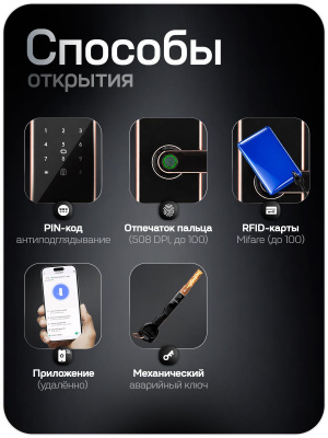Дверной замок WIFI PS-Link PS-K2 розовое золото, биометрический, отпечаток пальца, временный пароль, ключ, карта
