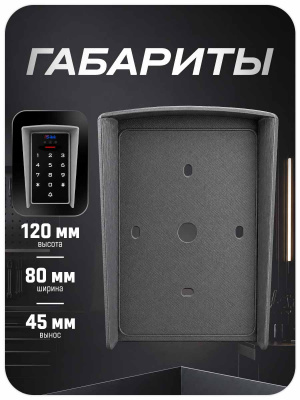 Козырёк для панели доступа PS-3D01EM/MF Серый