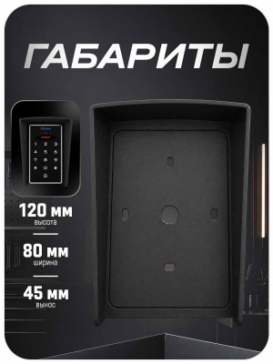 Козырёк для панели доступа PS-3D01EM/MF Черный