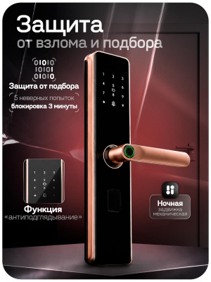 Дверной замок WIFI PS-Link PS-K2 розовое золото, биометрический, отпечаток пальца, временный пароль, ключ, карта