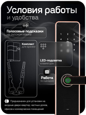 Дверной замок WIFI PS-Link PS-K2 розовое золото, биометрический, отпечаток пальца, временный пароль, ключ, карта