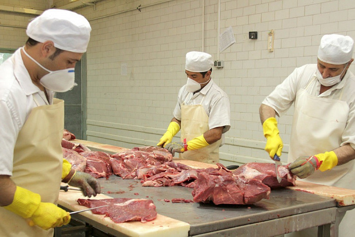 Реализованный проект ООО "АРКАДИЯ"- Производство продукции из мяса.. Фото-1